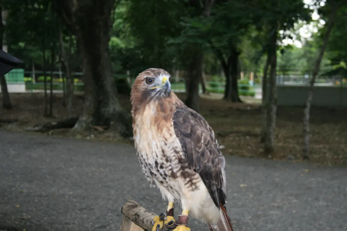 Parque Zoológico Nacional (ZOODOM)