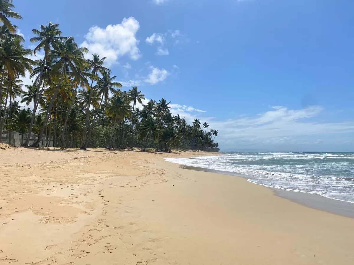 Playa Cosón